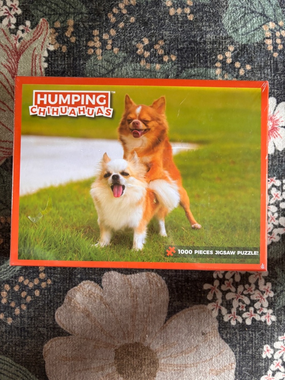 NIB Humping Chihuahuas 1000-Piece Jigsaw Puzzle